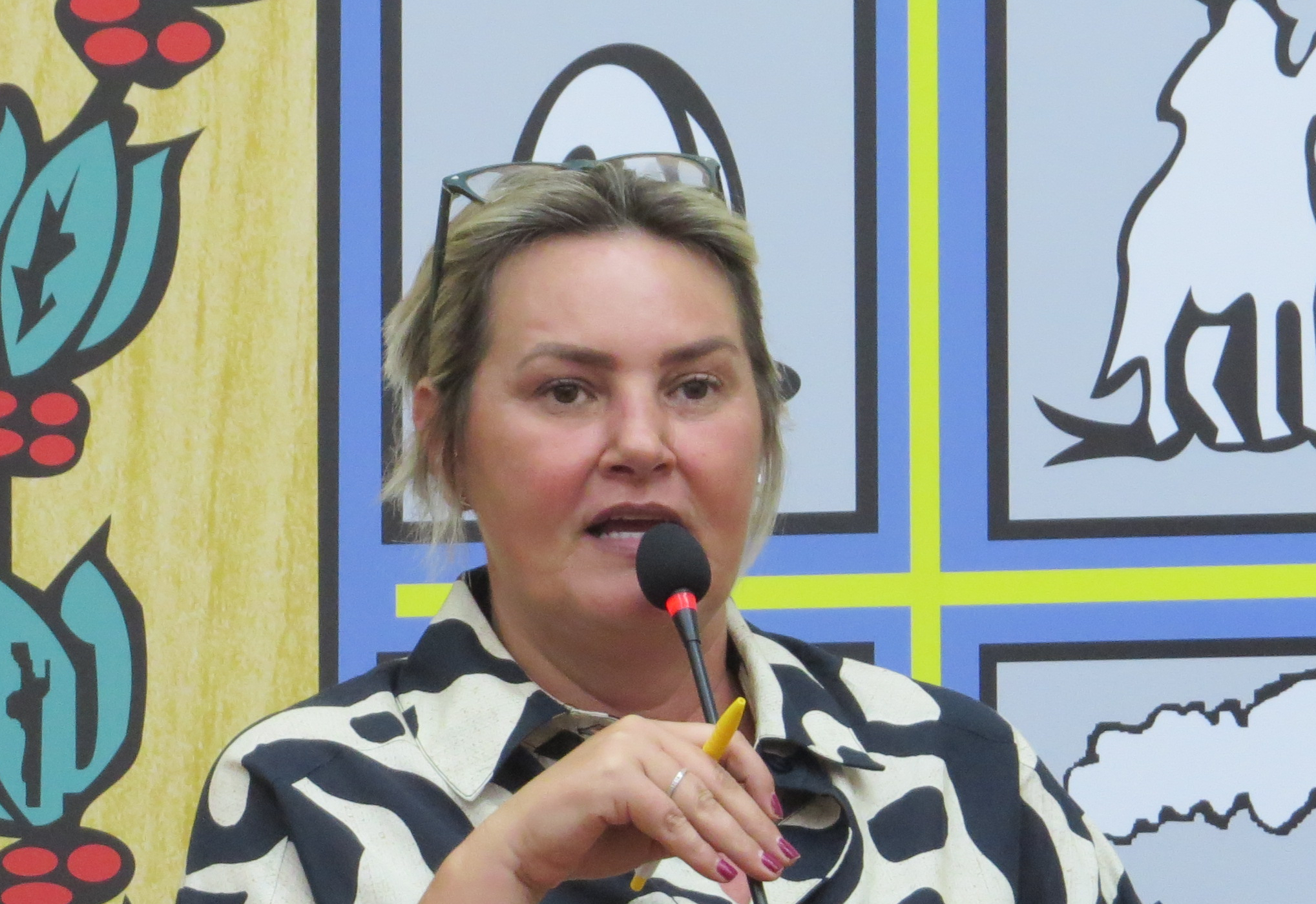 Ana Paula solicita urgência na implantação de câmeras “detecta” na cidade 